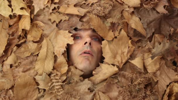 Лицо человека среди осенних листьев — стоковое видео