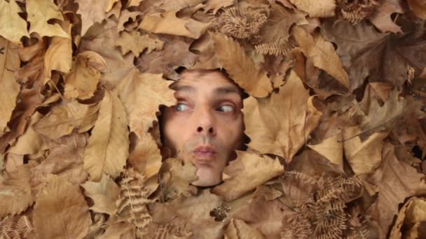 Ember arca, az őszi levelek között — Stock videók