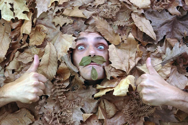 El señor Otoño dice OK —  Fotos de Stock