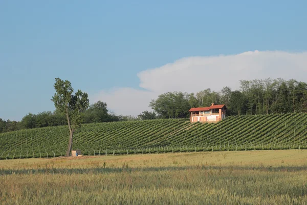 Landsbygdens bostads eand vingård — Stockfoto