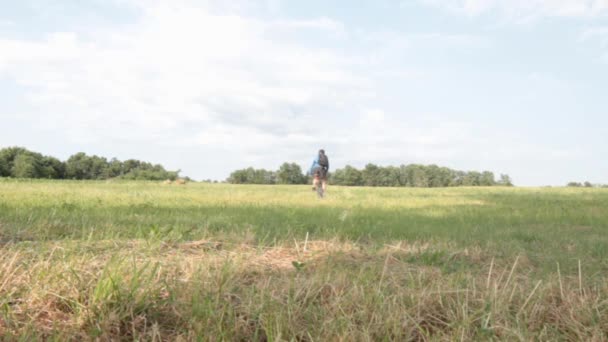 El hombre monta en bicicleta en el campo — Vídeo de stock