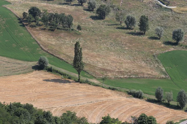 Romagna Italian rural landscape — Stock Photo, Image