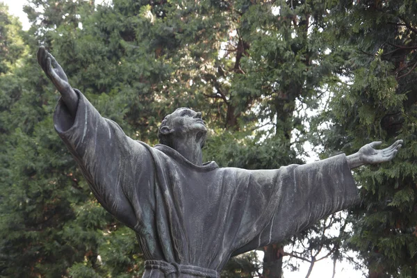 St. Franciskus av assisi — Stockfoto