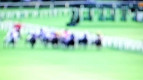 馬のレース — ストック動画