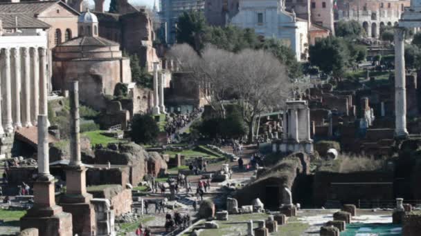 Roma, Itália. Um dos marcos mais famosos do mundo - Fórum Romano . — Vídeo de Stock