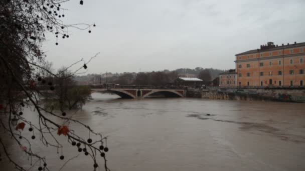 Il fiume Tevere rompe le sue rive — Video Stock