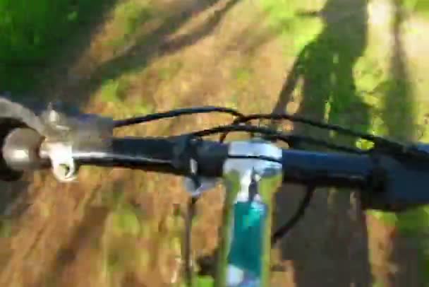 Detail am Fahrradlenker — Stockvideo