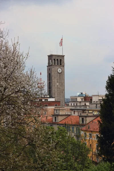 Civic tower w varese, Włochy — Zdjęcie stockowe