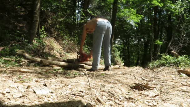 Sawing wood — Stock Video