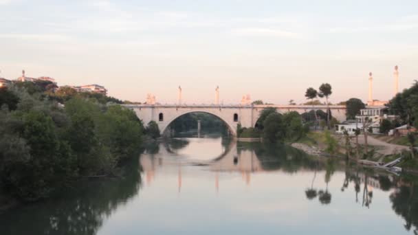 Flaminio bridge on the Tiber river — Stock Video