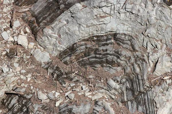 瑞士提契诺州维尔扎斯卡的一个沟渠边的岩石 — 图库照片