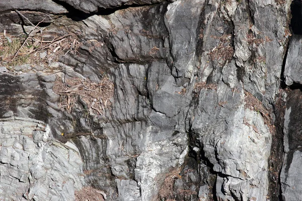 스위스 바위들 — 스톡 사진