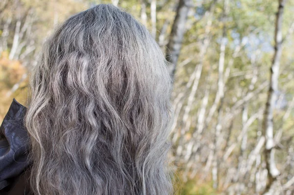 Grey Hair Woman Birch Forest Background — Stock Photo, Image