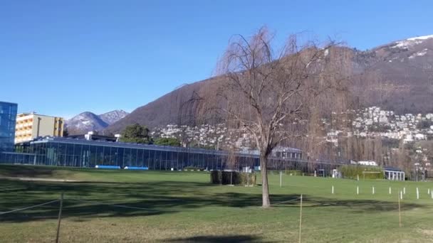 Locarno Ακτή Στη Λίμνη Maggiore Μια Ηλιόλουστη Μέρα Χειμώνα Ελβετία — Αρχείο Βίντεο