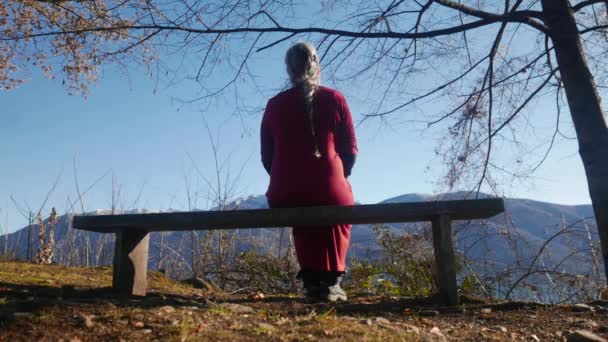 Mujer Madura Frente Una Vista Montaña Requiere Liberación Modelo Vista — Vídeos de Stock