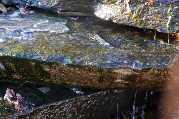 岩の層から滴り落ちる水 — ストック写真