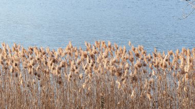 Güneşli bir günde Lugano Gölü 'nün üzerinde akıntı çizgisi