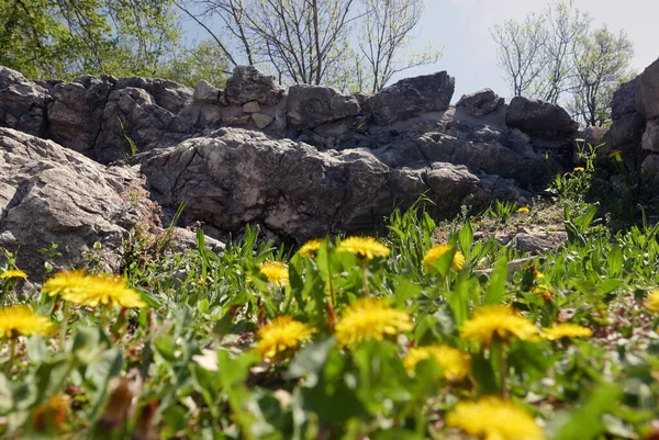 Oude Ruïnes Het Archeologische Park Tremona Castello Zwitserland — Stockfoto