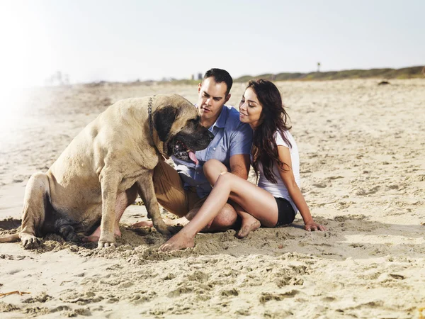 Par på stranden leka med hund. — Stockfoto