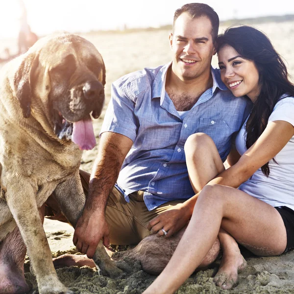 Casal com cão de estimação na praia — Fotografia de Stock