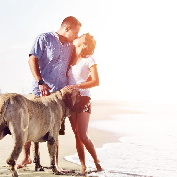 Par på stranden med hund kyssar — Stockfoto