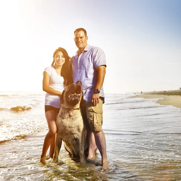 Couple with pet dog posing on the beach. Royalty Free Stock Photos