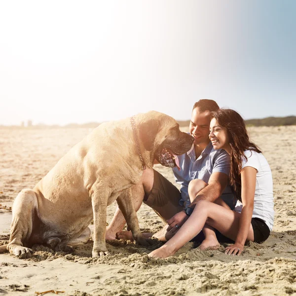 Couple playing with dog on the beach. Royalty Free Stock Images