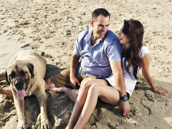 Couple relaxing with pet dog on the beach. Royalty Free Stock Photos