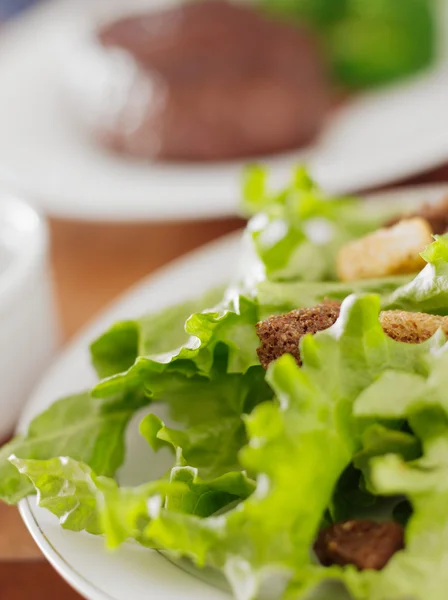 Insalata verde a foglia — Foto Stock