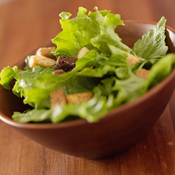 Salada folhosa verde — Fotografia de Stock