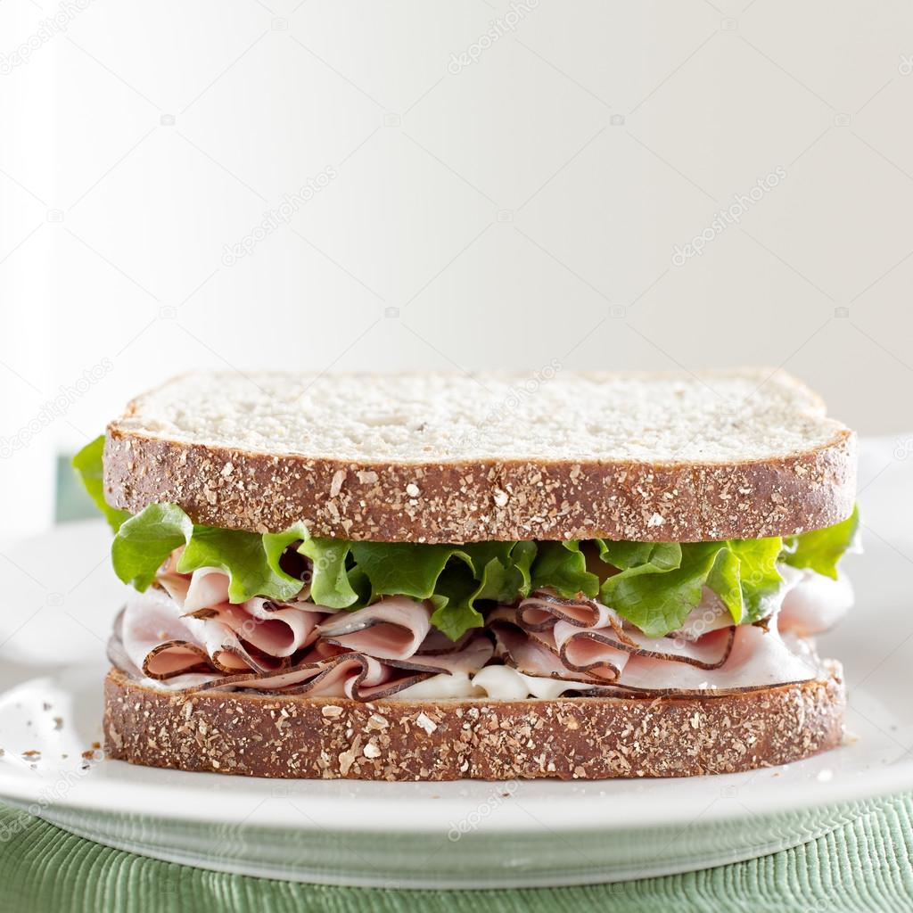 Deli meat sandwich Stock Photo by ©resnick_joshua1 33596607