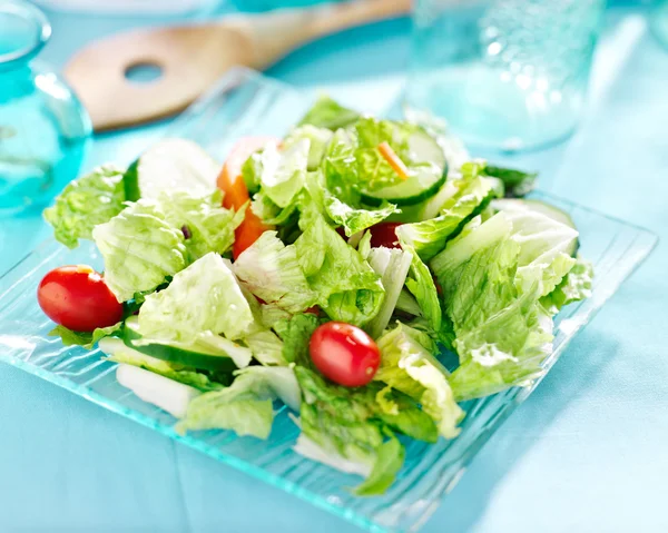 Tuin salade — Stockfoto