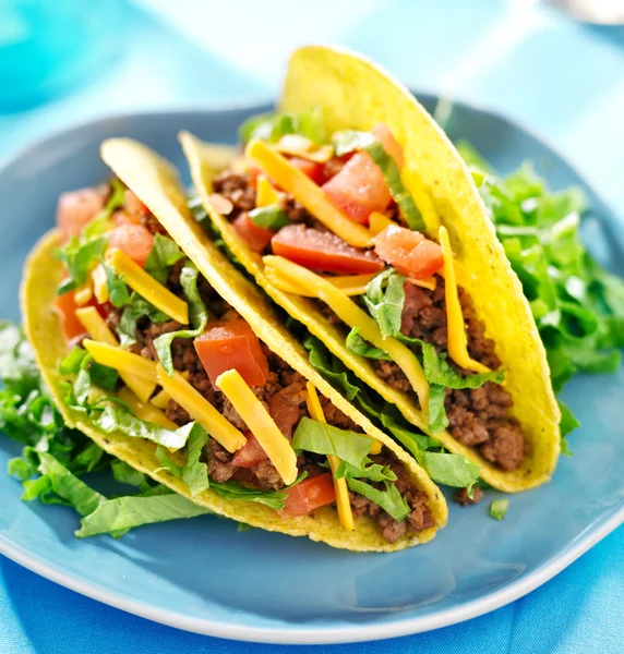 Tortillas와 플래터에 타코 — 스톡 사진 © resnick_joshua1 #33580663 Tortillas와 플래터에 타코