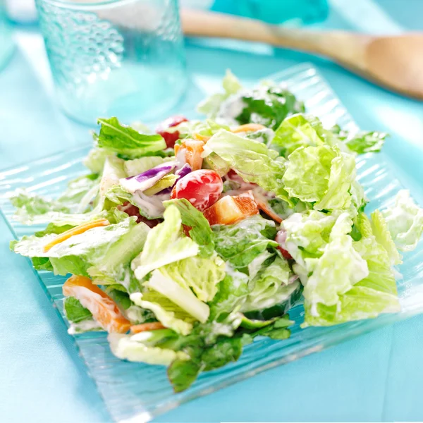 Tuin salade — Stockfoto