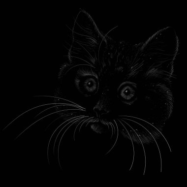 Kedi vektörü sanat illüstrasyonu tişört giysisi dövme tasarımı veya giysisi. Şirin baskı tarzı kedi yavrusu arka planı. Bu el çizimini siyah kumaş ya da tuval üzerinde yapmak iyi olurdu.