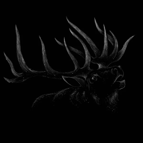 Wapiti Logo Vectoriel Pour Conception Shirts Tenues Fond Style Chasse — Image vectorielle