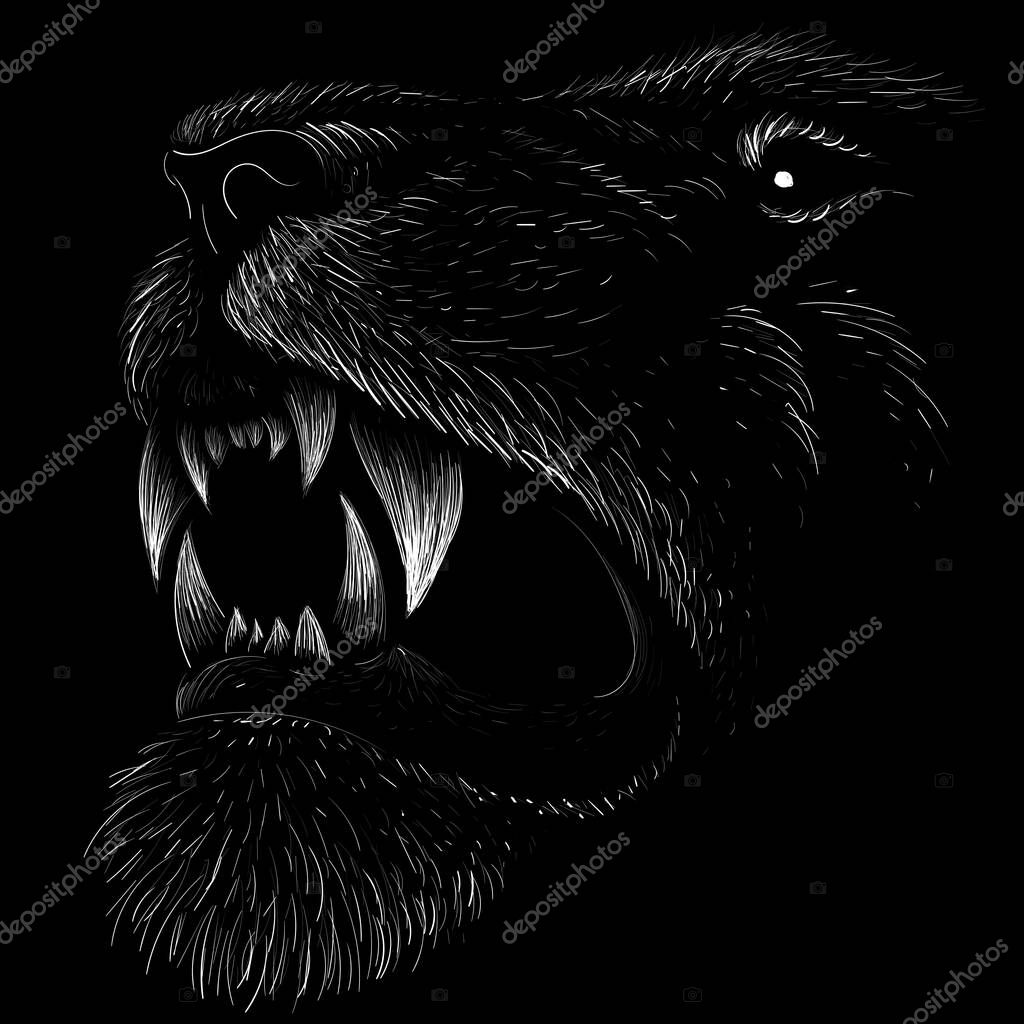 The Vector logo lion for tattoo or T-shirt print design or outwear.  Hunting style lions background. This hand drawing would be nice to make on the black fabric or canvas