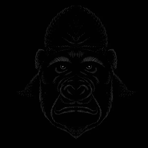 Logotipo Vetor Macaco Gorila Chamado King Kong Para Tatuagem Design — Vetor de Stock