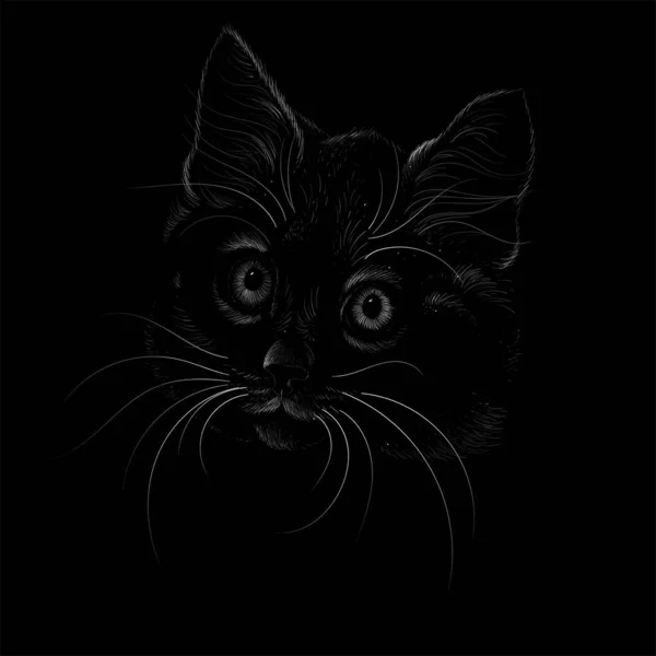 Gato Logotipo Vetor Para Tatuagem Design Camiseta Roupa Interior Estilo — Vetor de Stock