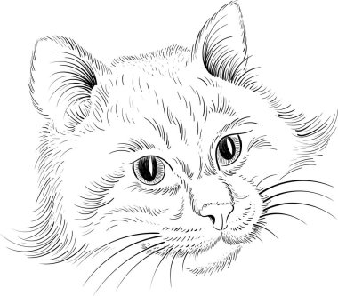 Dövme ya da tişört tasarımı için Vektör logosu. Şirin baskı tarzı kedi arka planı. Bu el çizimini siyah kumaş ya da tuval üzerinde yapmak iyi olurdu.