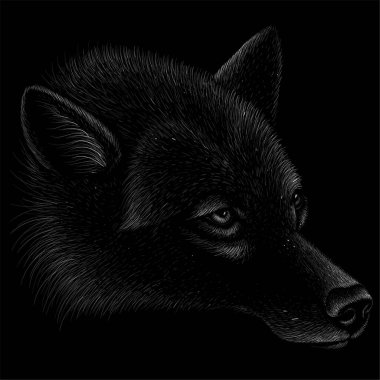 Dövme için Vektör logosu köpeği ya da kurt ya da tişört tasarımı ya da giysisi. Tatlı baskı tarzı köpek ya da kurt arkaplanı. Bu el çizimini siyah kumaş ya da tuval üzerinde yapmak iyi olurdu.