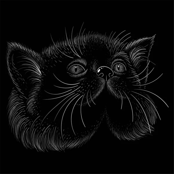タトゥーやTシャツのデザインや外観のためのベクトルロゴ猫 かわいいプリントスタイルの猫の背景 この手描きは黒の生地やキャンバスで作るのがいいでしょう — ストックベクタ