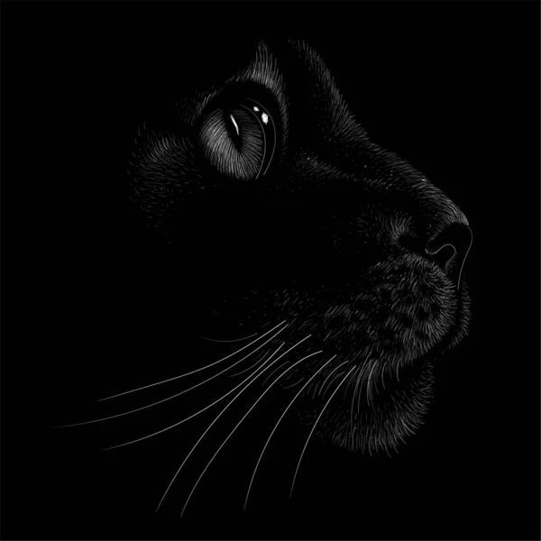 Gato Logotipo Vetor Para Tatuagem Design Camiseta Roupa Interior Estilo —  Vetores de Stock