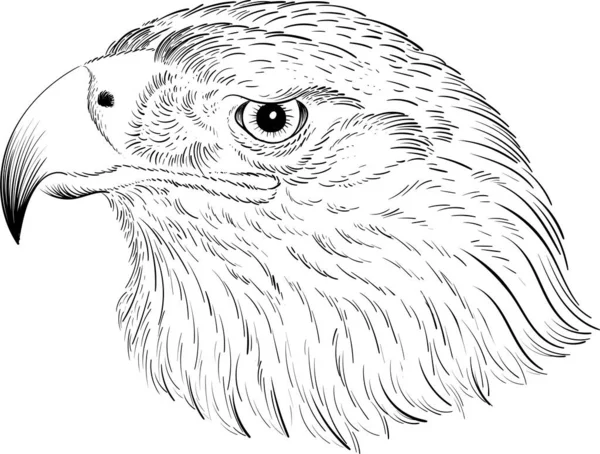 Vector Logo Águila Para Tatuaje Camiseta Diseño Outwear Estilo Caza — Archivo Imágenes Vectoriales
