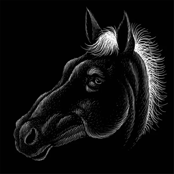 用于T恤衫印花设计或外观的矢量标识马 打猎风格的马背景 这幅画很适合用黑色的面料或帆布做 — 图库矢量图片