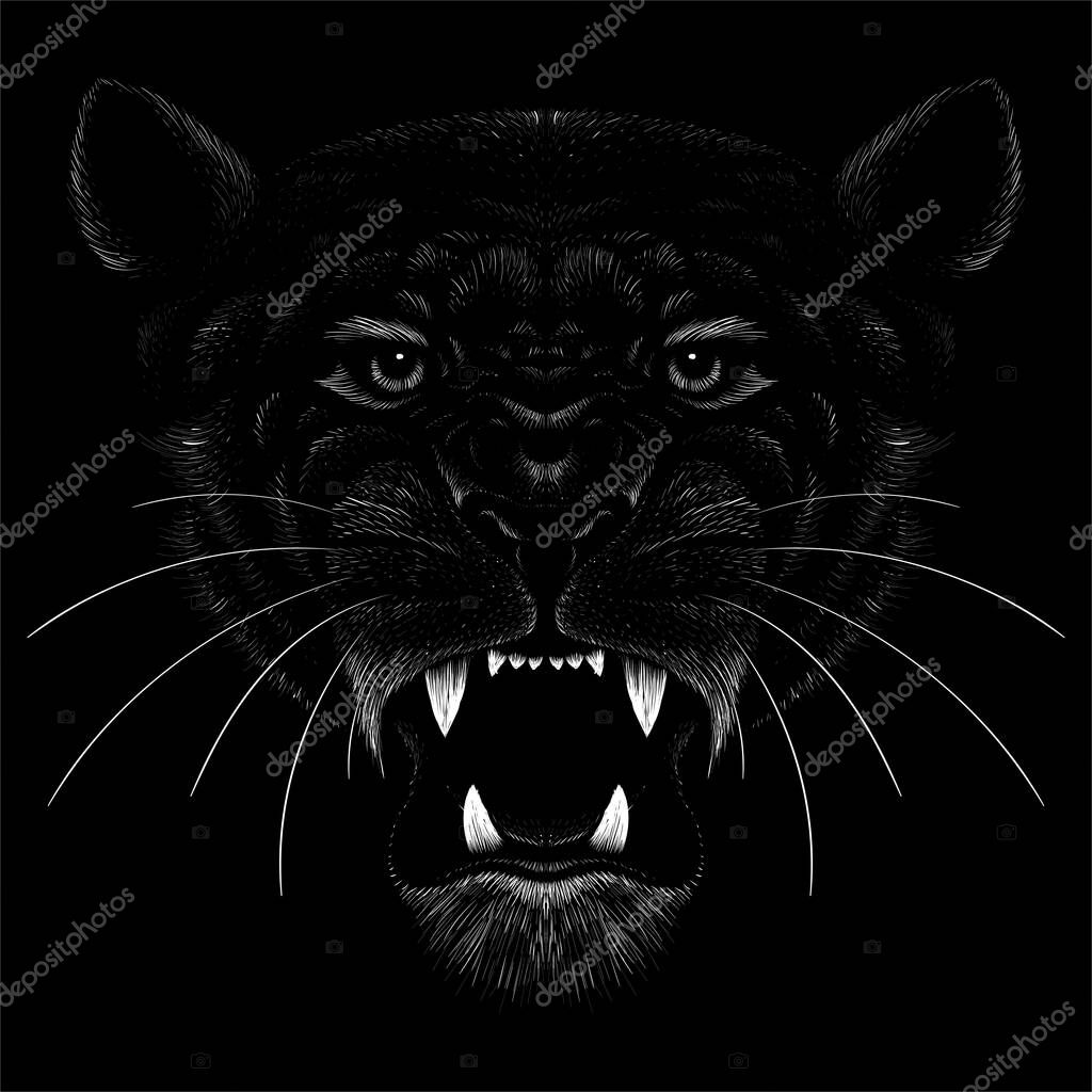 The Vecto logo lion for tattoo or T-shirt print design or outwear.  Hunting style lions background. This hand drawing would be nice to make on the black fabric or canvas.