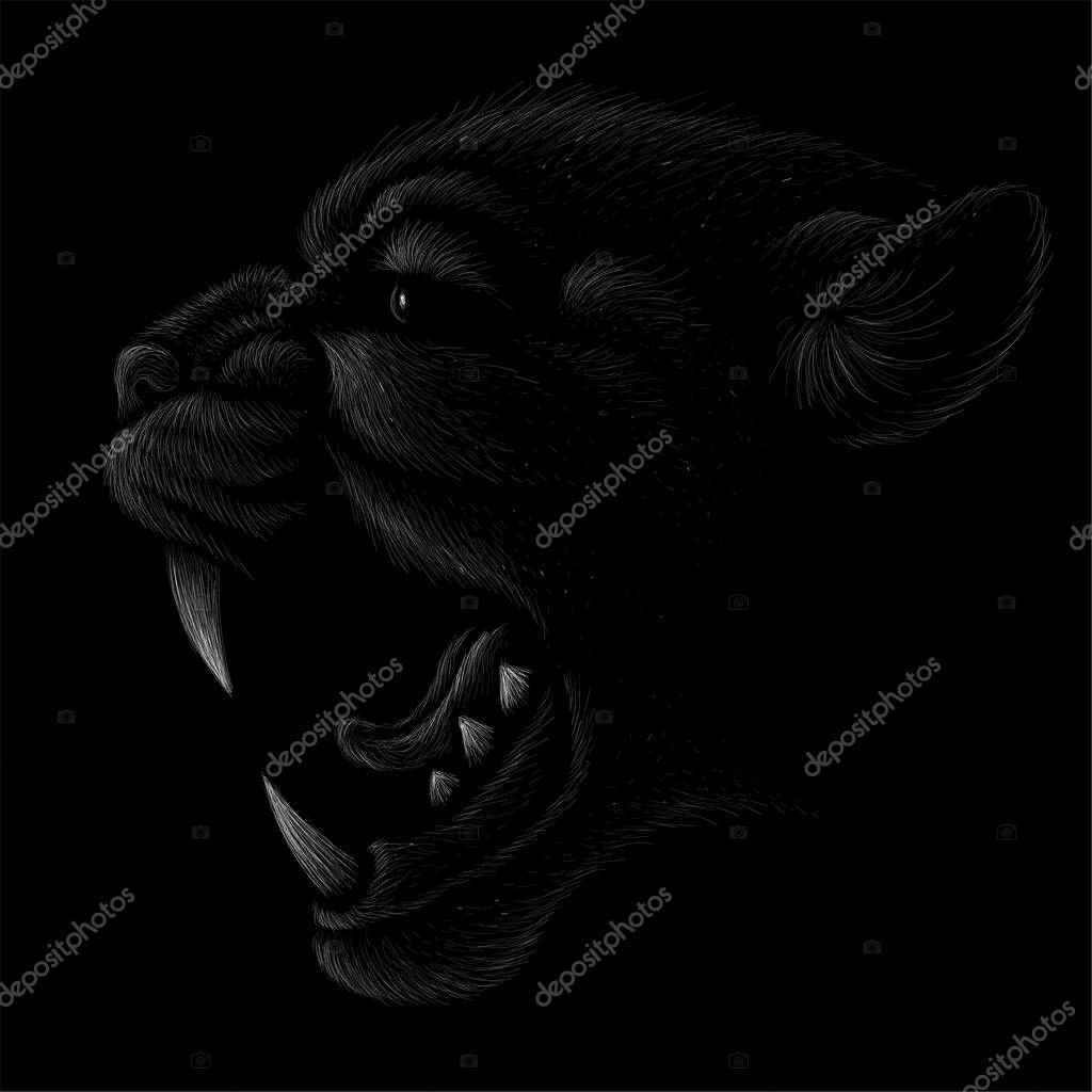 The Vector logo lion for tattoo or T-shirt print design or outwear.  Hunting style lions background. This hand drawing would be nice to make on the black fabric or canvas