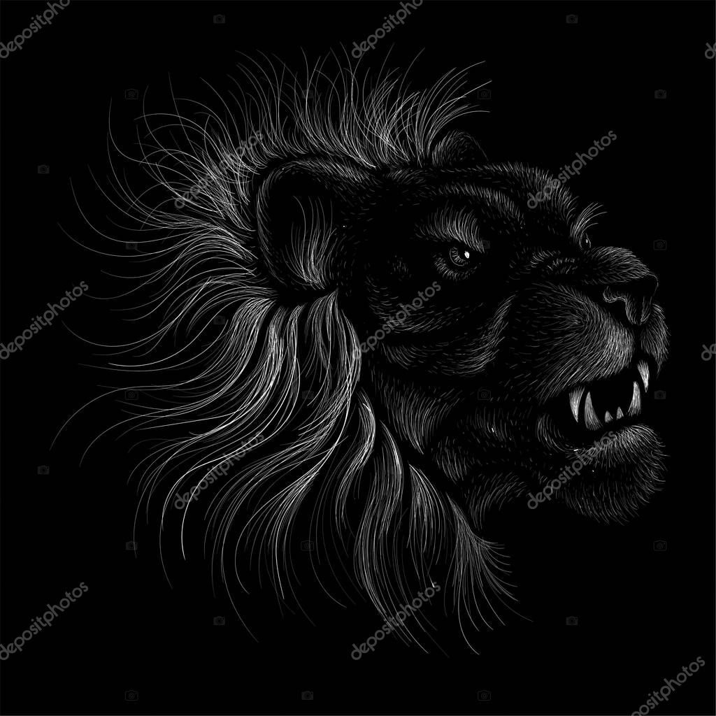 The Vector logo lion for tattoo or T-shirt print design or outwear.  Hunting style lions background. This hand drawing would be nice to make on the black fabric or canvas