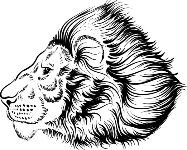 用于纹身或T恤衫印花设计或外耳的矢量狮子标志 捕猎风格狮子背景 这幅手绘画很适合用黑色的面料或帆布做 — 图库矢量图片