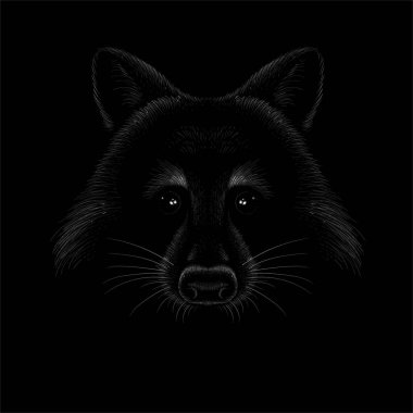 Tişört tasarımı ya da giyimi için Vektör logosu rakunu. Avlanma tarzı rakun geçmişi. Bu el çizimini siyah kumaş ya da tuval üzerinde yapmak iyi olurdu. 